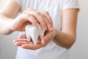 Close up of someone protectively holding a giant model tooth